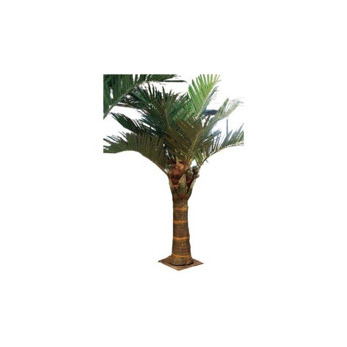 PIANTA COCCO 3MT ESTERNO